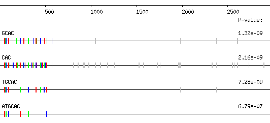 example graphical output of REPFIND